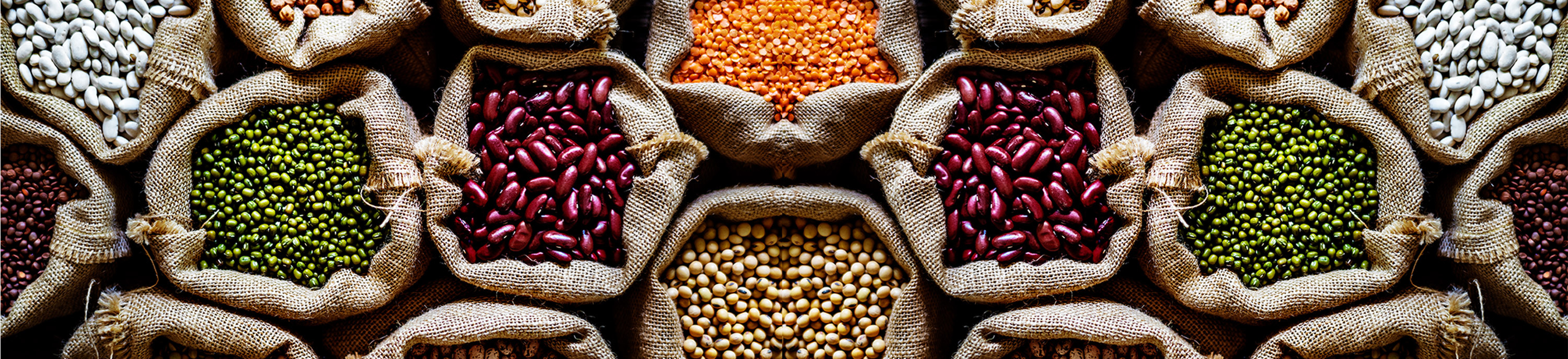 Nutrition Value of Pulses | Right Shift