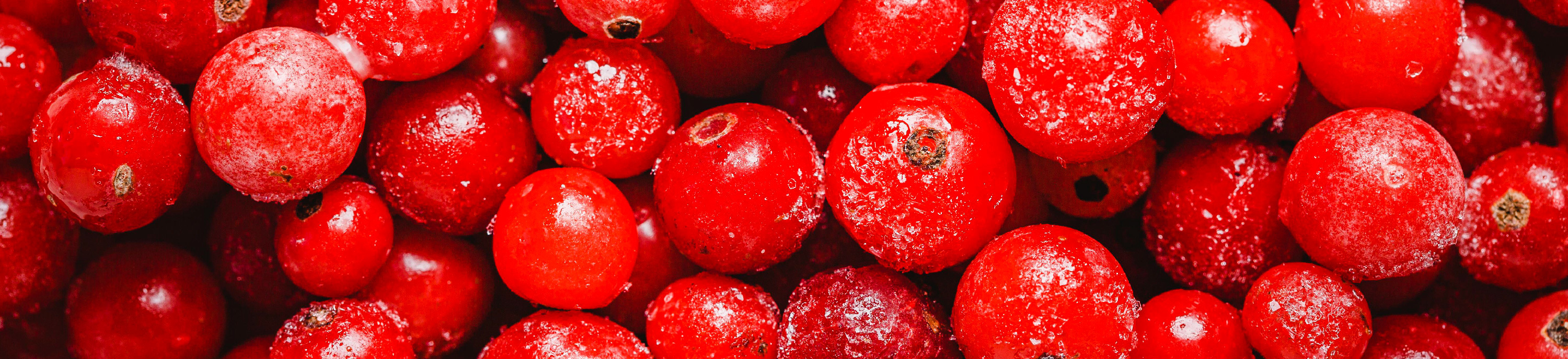 advantages of cranberries - Right Shift