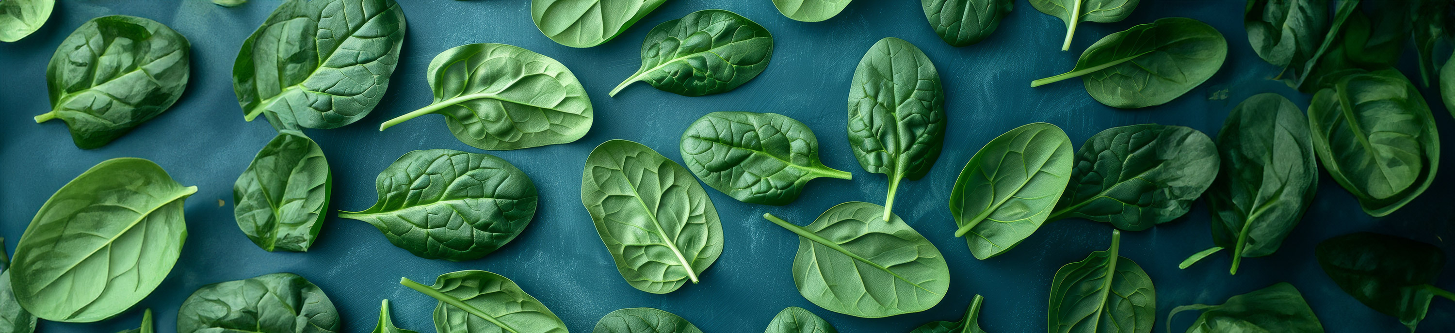 Nutritional Value of Spinach | Right Shift